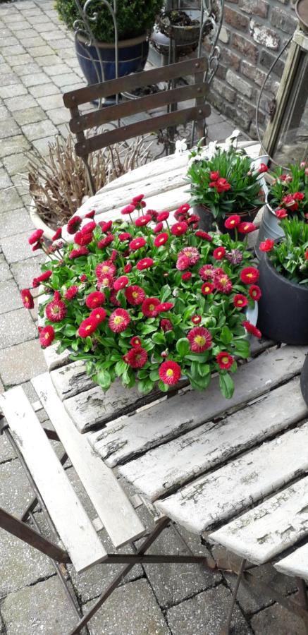 Chambre Aqualine Aywaille Kültér fotó